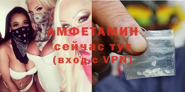 трава Аркадак