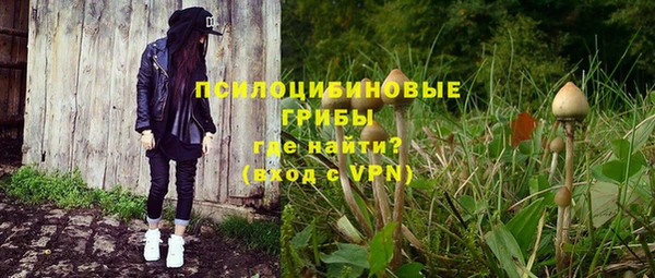 трава Аркадак